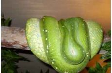 phoca_thumb_l_nr2@2004.08.jpg